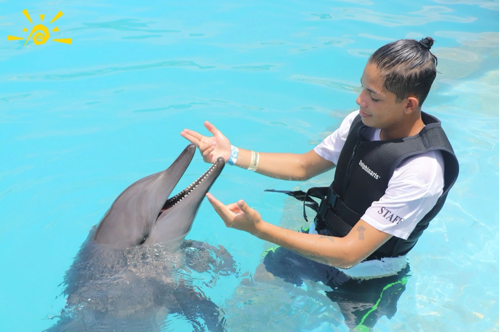 Dolphin Experiences