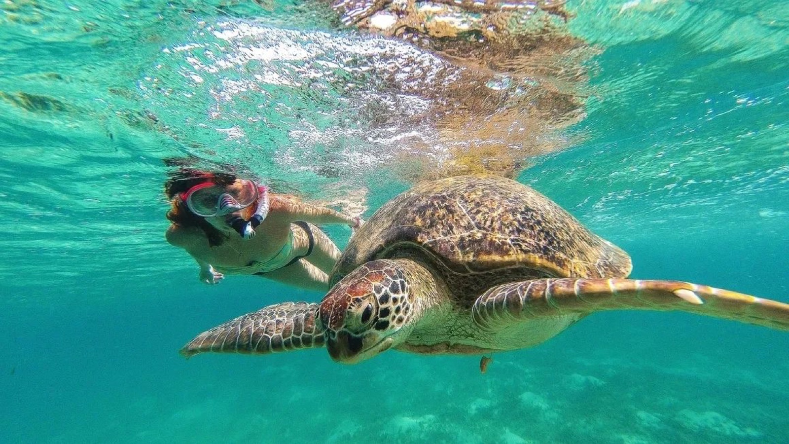 Akumal Reef