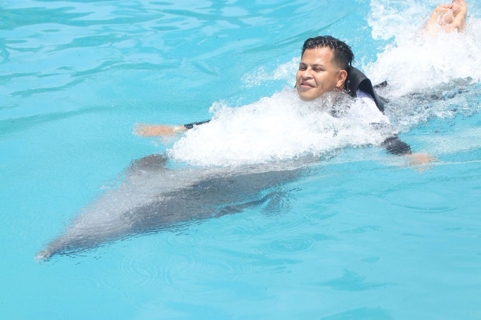 Dolphin Encounter
