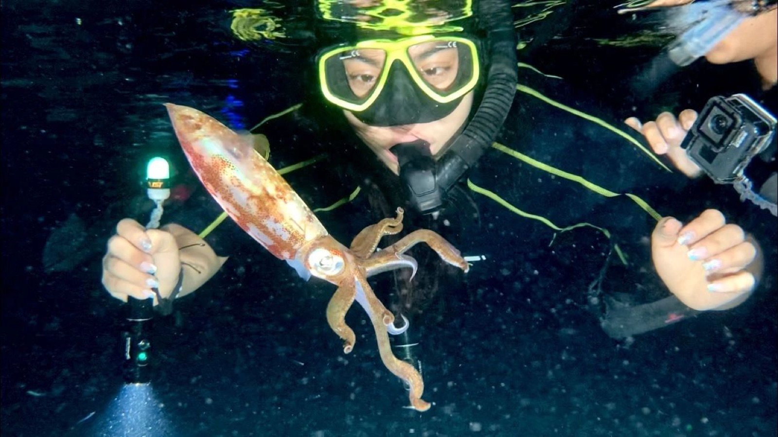 Night Snorkeling