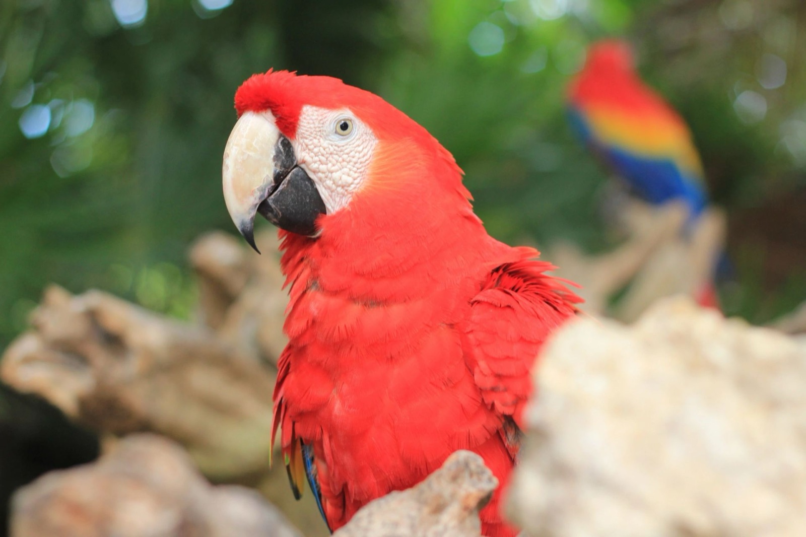 Xcaret All Inclusive