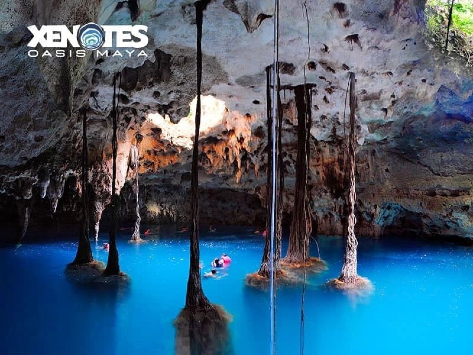 Xenotes All Inclusive